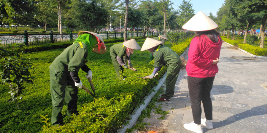 Hướng dẫn thực hành cho học viên cắt tỉa tại Vĩnh Phúc