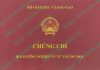 mẫu chứng chỉ tư vấn du học