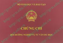 mẫu chứng chỉ tư vấn du học