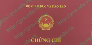 mẫu chứng chỉ tư vấn du học